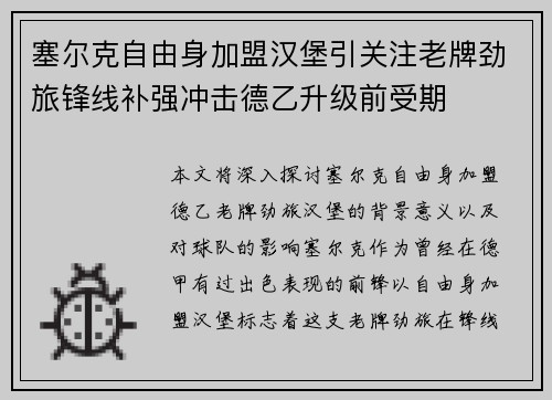 塞尔克自由身加盟汉堡引关注老牌劲旅锋线补强冲击德乙升级前受期